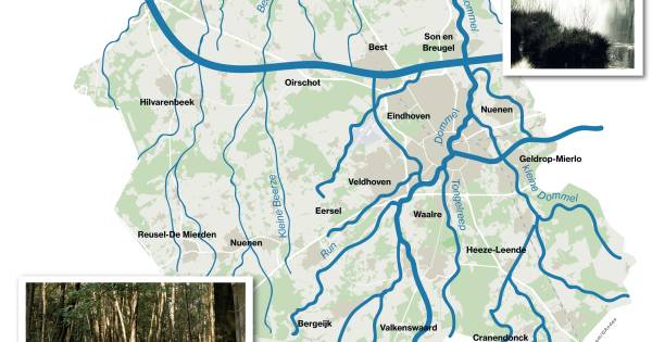 Extreem regenachtige winters nopen waterschap de Dommel tot flinke klussen - Eindhovens Dagblad