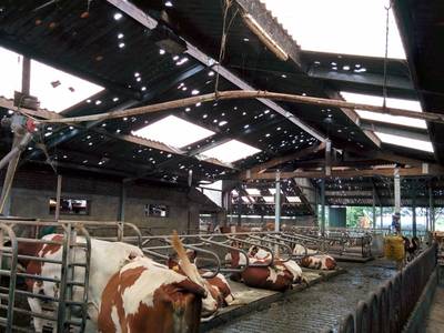 Jaar na verwoestende hagelbui Noord-Brabant: ongerust bij elke code geel
