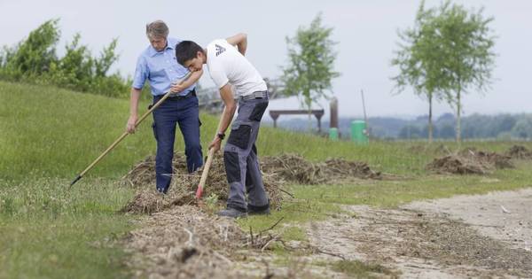 Schoonmaakbeurt voor strand Rhederlaag - De Gelderlander