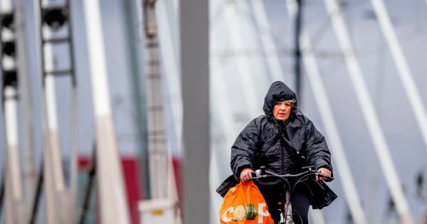 Storm Ciara mogelijk heftiger dan verwacht, morgen besluit over dienstregeling NS - BN DeStem