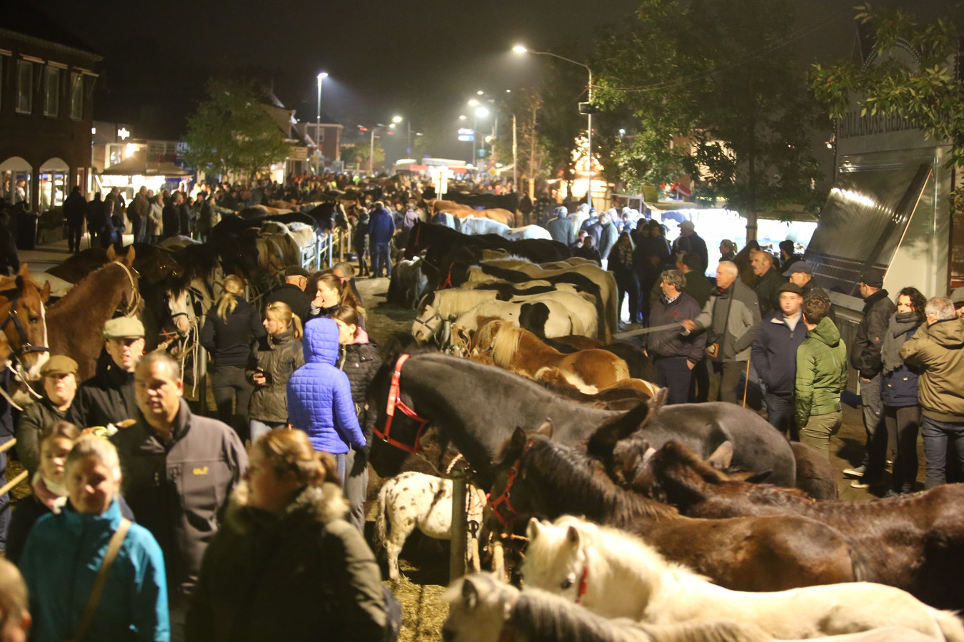 Paardenmarkt Hedel nu grootste van het land; feestnacht rustig verlopen