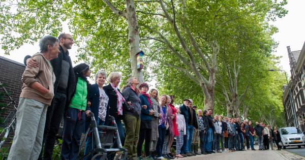 Kappen van bomen langs Boschveldweg lijkt niet meer te voorkomen, alternatief kost twee miljoen euro