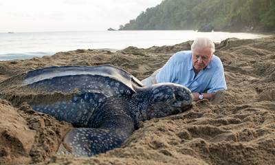 Klimaatalarm: Straks valt er niets meer te filmen