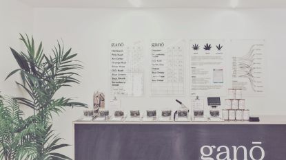 Cannabiswinkel in de buurt