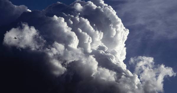 Zondag veel meldingen van stormschade door code geel, maandag ook nog zware windstoten - BN DeStem