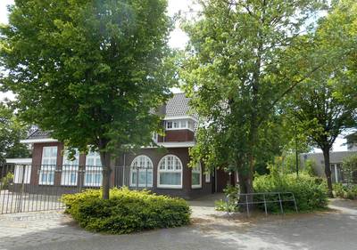 IVN ontstemd over bomenkap in centrum Leende