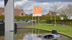 Oudere man belandt met wagen in vijver na botsing: medewerkers Matexi snellen te hulp