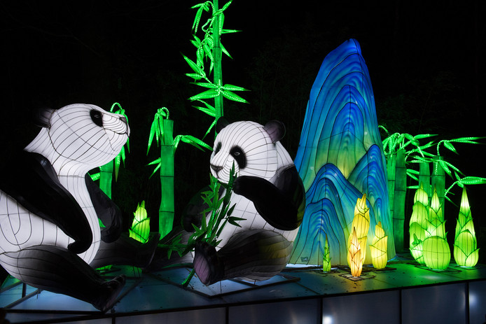 China Light Festival In Ouwehands Dierenpark Is Alsof Je In Een