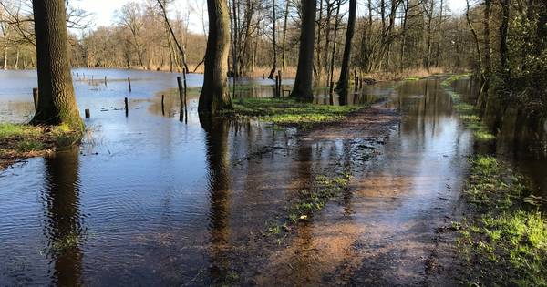 Natte voeten op Landgoed Wellenseind | Kempen - Eindhovens Dagblad