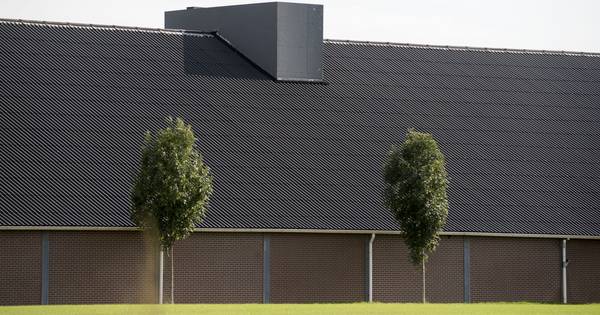 Gemeente Hof van Twente gaat boerderijen strenger controleren op milieuovertredingen