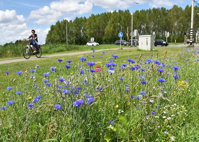 Graag meer boompjes erin en meer tegeltjes eruit; extra aandacht voor landschap