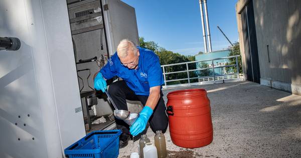 Poep en plas volop op corona getest: 'Niet alle mensen met klachten laten zich testen, maar iedereen
