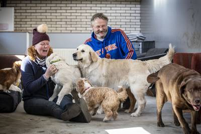 De droombaan van Carole en Bert uit Weerselo: ‘Hondenhokken schoonmaken, poep opruimen. Heerlijk’