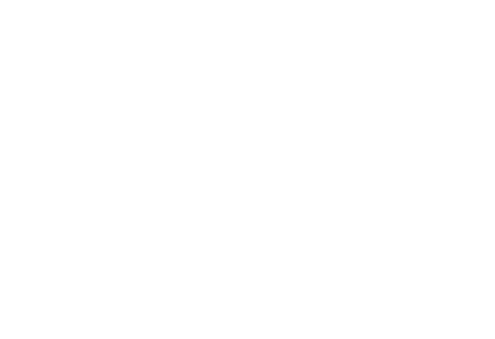 Home Alone 2: Lost In New York