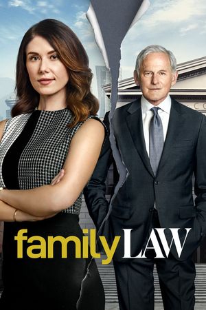 the family law netflix