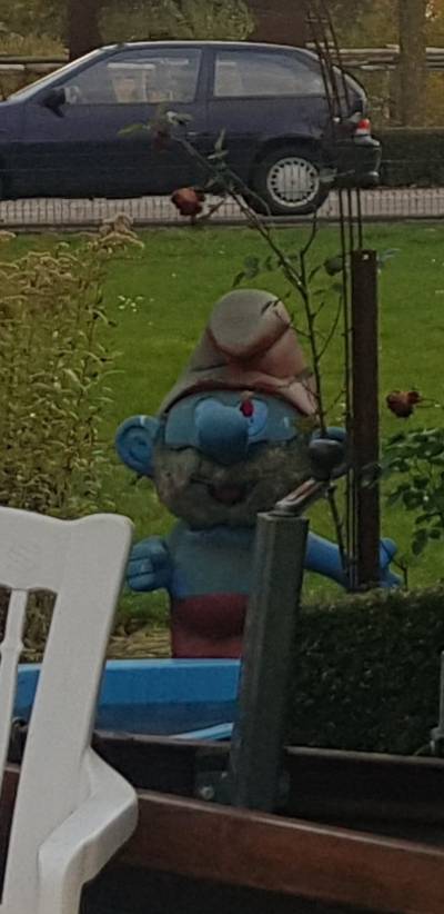 Welke ‘Gargamel’ heeft Diepenheimse Grote Smurf gestolen?