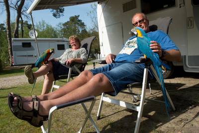 Het camperleven mag ook best wat opleveren