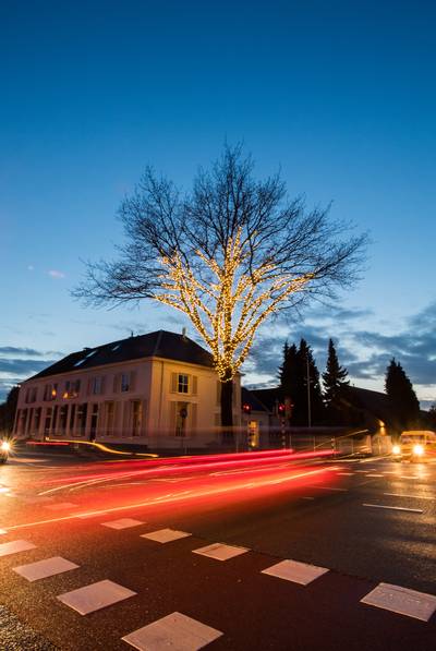 Dieven kerstversiering 'haarscherp' op camerabeeld