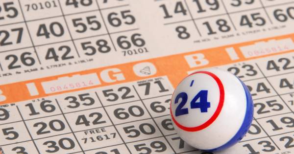 De Buitengaander en Hoefzicht in Westerhoven onder één paraplu - Eindhovens Dagblad