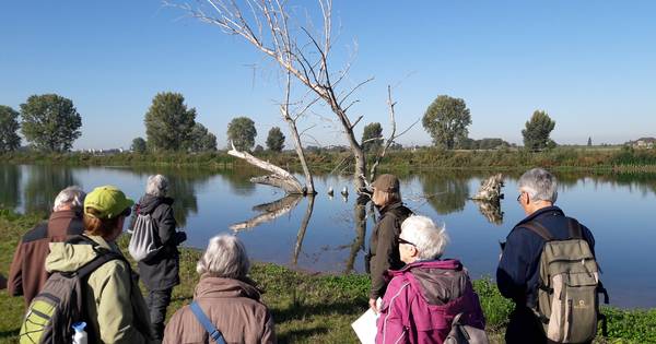 Hemelrijkse Waard: nieuwe natuur naast de deur wordt langzaam ontdekt