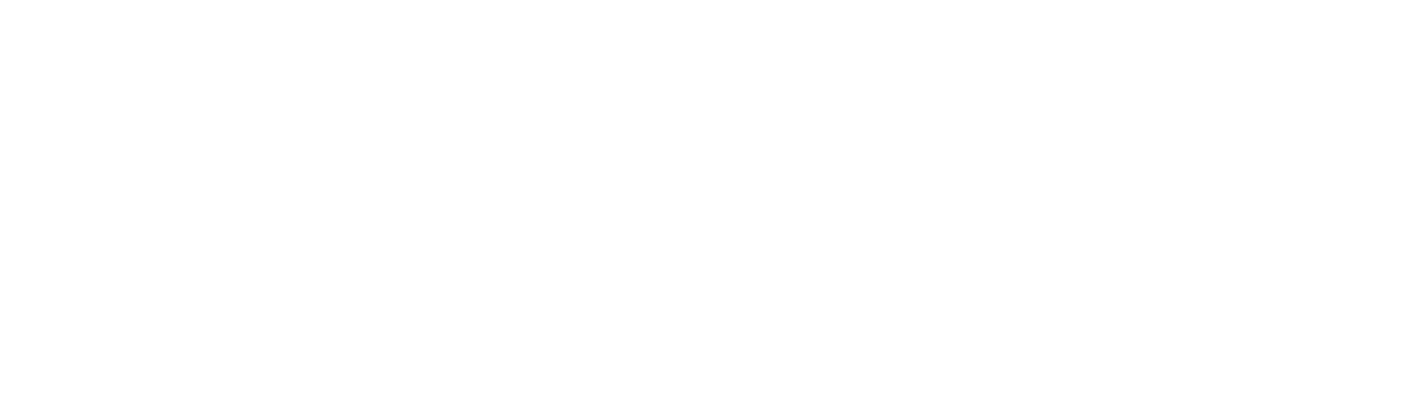 Olifantje in het Bos