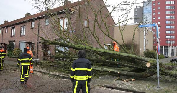 Code geel: zware windstoten teisterden Brabant | Brabant - BD.nl