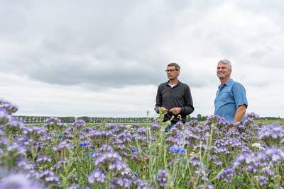 Iets meer betalen voor de bloemkool maakt de wereld biodivers en kleurig