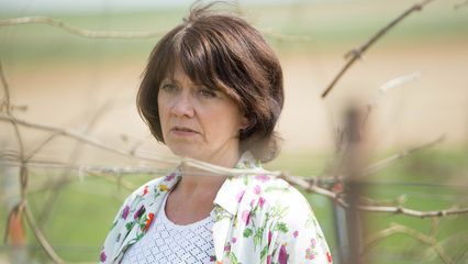 Aflevering 5