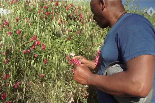 Close Up: Nelson Carrilho - Ik ben een zwarte beeldhouwer