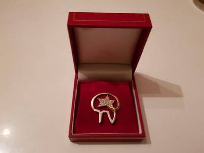 Vlemmix zet onderscheiding Peter-Jan Rens te koop op Marktplaats: 1750 euro