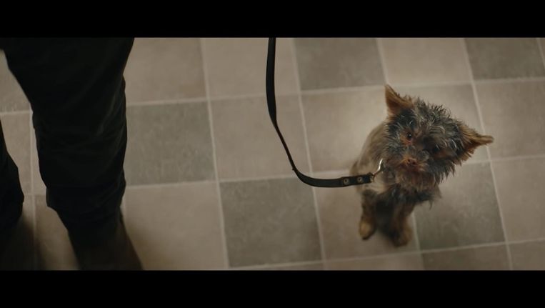 Reclame Met Hondje Frekkel Wint Gouden Loeki Het Parool