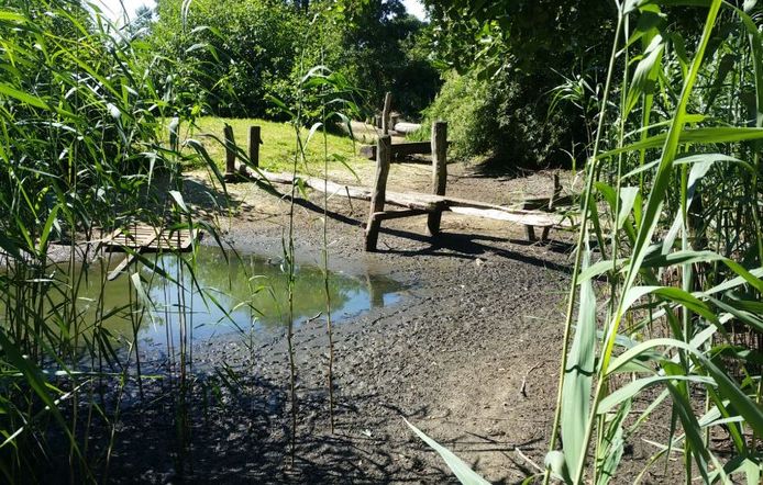 Speelbos, natuurspeeltuin of speelplaats in bos met kinderen - Mamaliefde