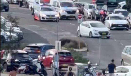 ▶️ Schietpartij bij Bondi Beach in Sydney: tien doden, onder wie de schutter