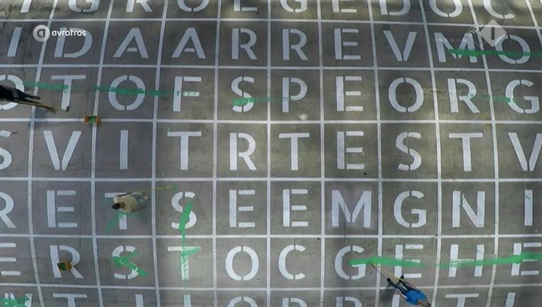 Verklapt Deze Woordzoeker Wie De Mol Is Het Parool