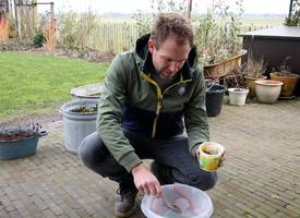 Zó verwijdert boer Tom groene aanslag op zijn terras