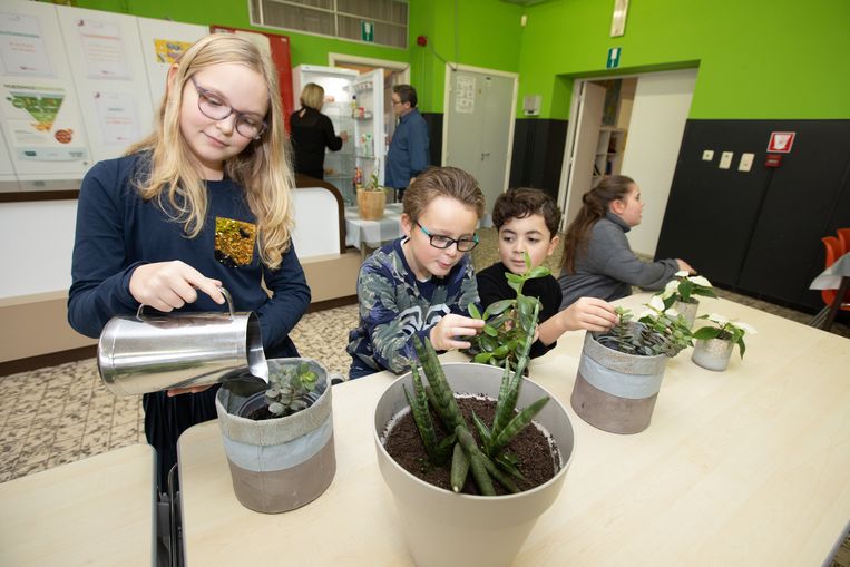 Truiense basisschool start kamerplantenhotel | Sint ...