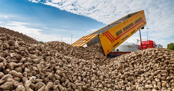 Afgelopen bietencampagne was meer zuur dan zoet