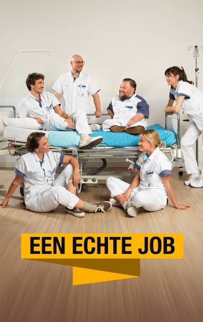 boxcover van Een Echte Job