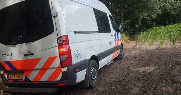 Man (70) overleden na botsing tegen boom in Ambt Delden - Tubantia