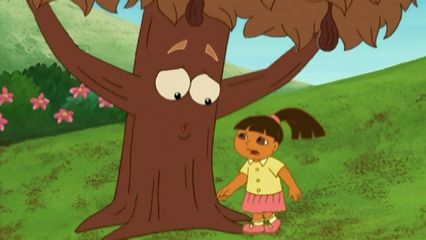 22. De Cacaoboom