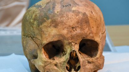 Menselijke schedel ontdekt na werken in tuin in Schoten: parket start onderzoek naar ouderdom en mogelijke doodsoorzaak