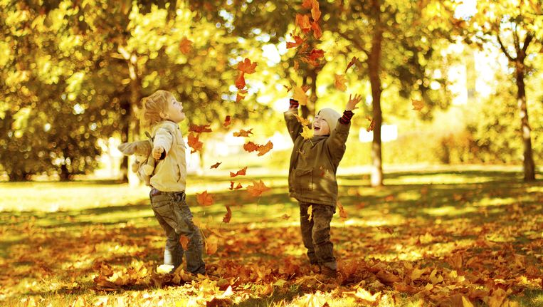 11 Heerlijk Herfstige Vakantieactiviteiten Voor U En Uw Kroost De Morgen