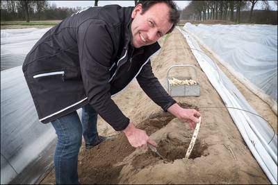 Aspergesteker en aardbeikweker met handen in het haar: Polen komen niet meer