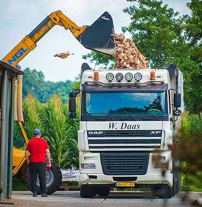 Dierenorganisaties verliezen kort geding: kippen mogen worden geruimd