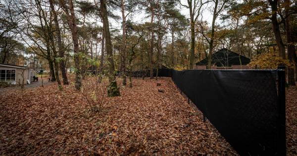 Hek rond deel van De Bikkels in Vlierden - Eindhovens Dagblad