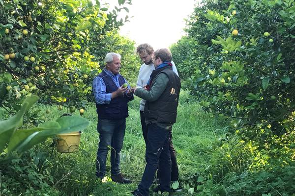 De kok en de directeur