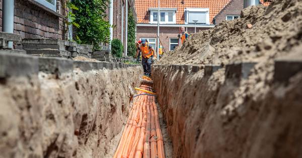 Inhaalslag met glasvezel in kleine kernen: 'Boeren houden vee met livestreams in de gaten' - De Sten