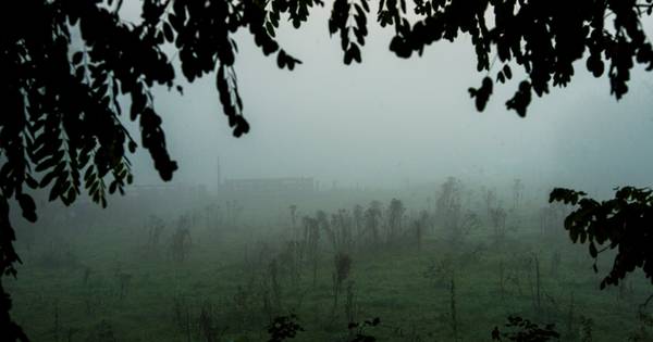 Code geel in Noord-Brabant vanwege dichte mist - Eindhovens Dagblad