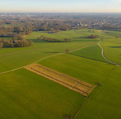 Delden City Run krijgt organisatie niet rond en verplaatst evenement