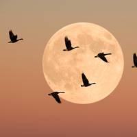 Dit kun je merken van de volle maan in Kreeft op 27 december